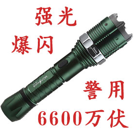 黑鹰HY-8810型警用电击器